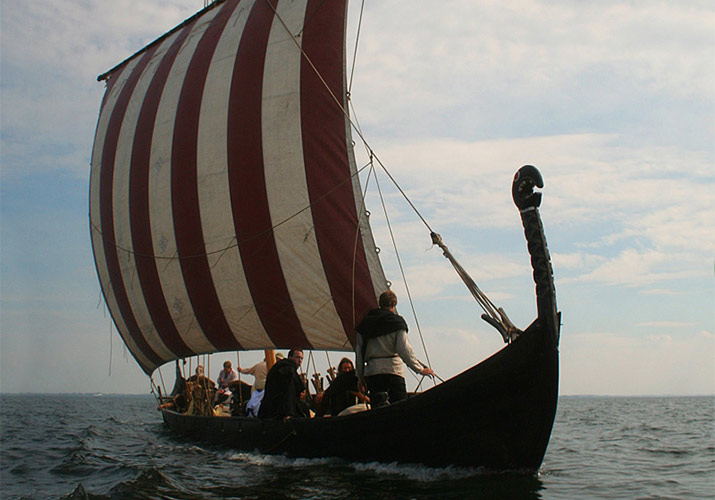 dublin: vikings and celtic treasures see the world