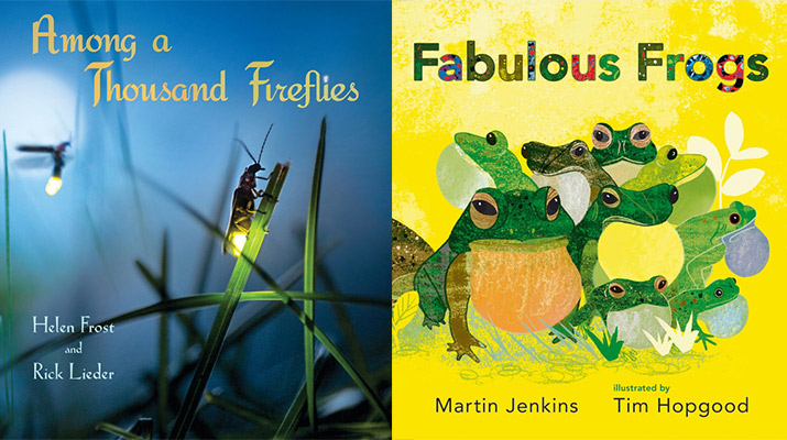 among-thousans-fireflires-fabulous-frogs-715