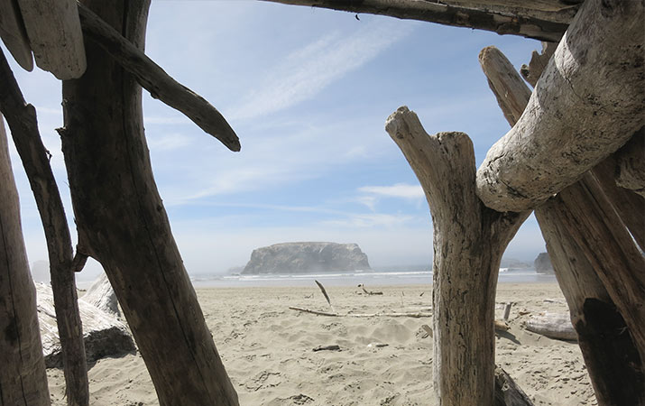 driftwood-fort-coquille-point-bandon-oregon-715