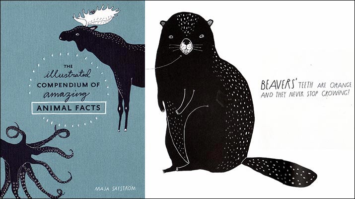the-illustrated-compendium-of-amazing-animal-facts-715