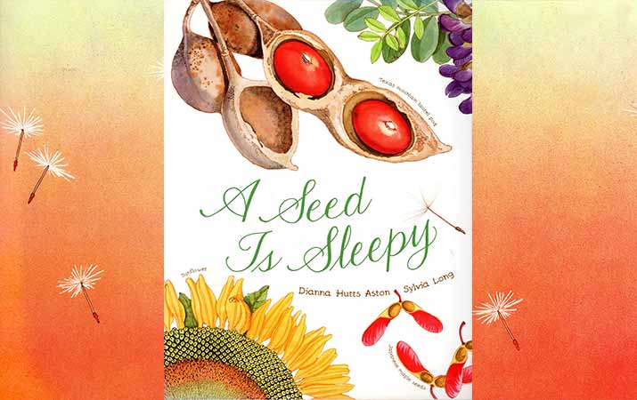 A Seed Is Sleepy by Sylvia Long