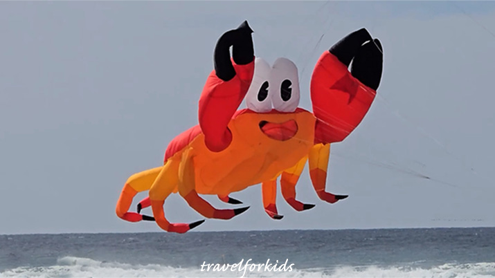 crab kite