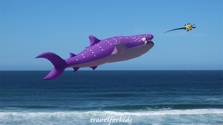 lincoln city kite festival purple sea creatur