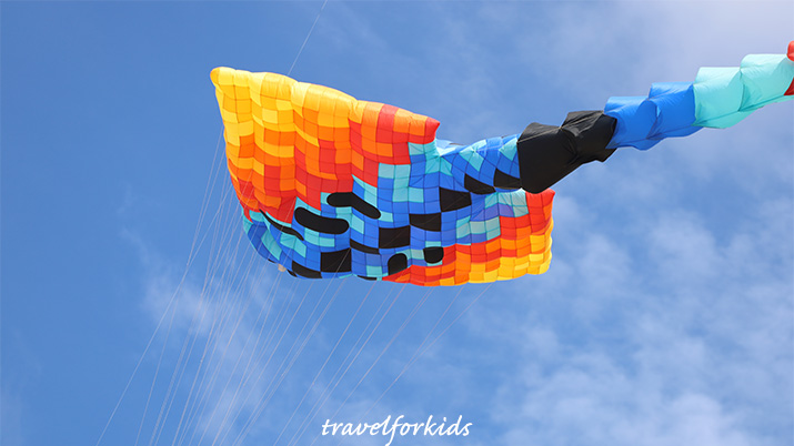 lincoln city kite festival top kite